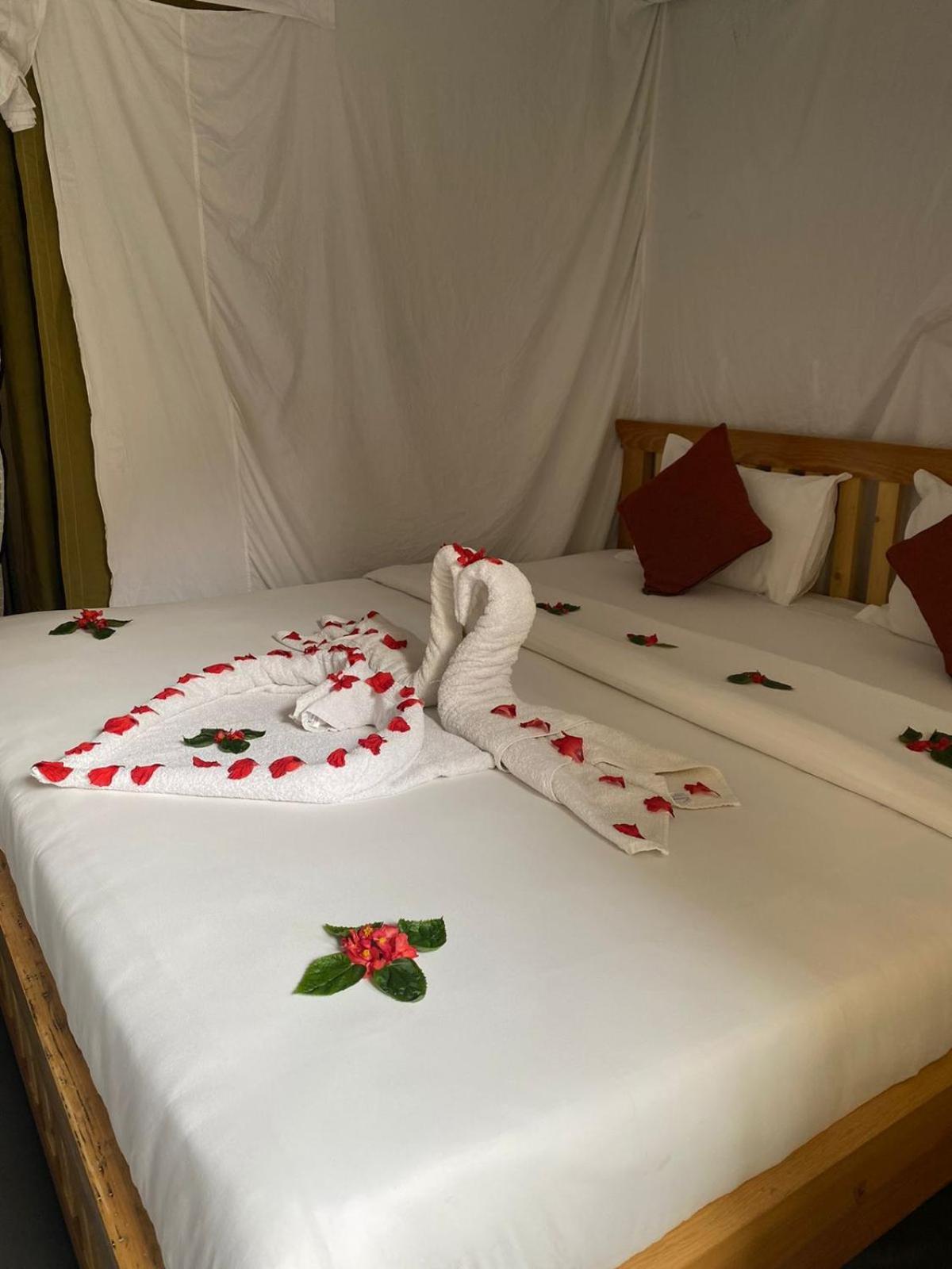 Kalash Parkaze And Tent Inn 포카라 외부 사진